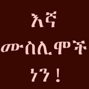 Meet your Posher, Seida